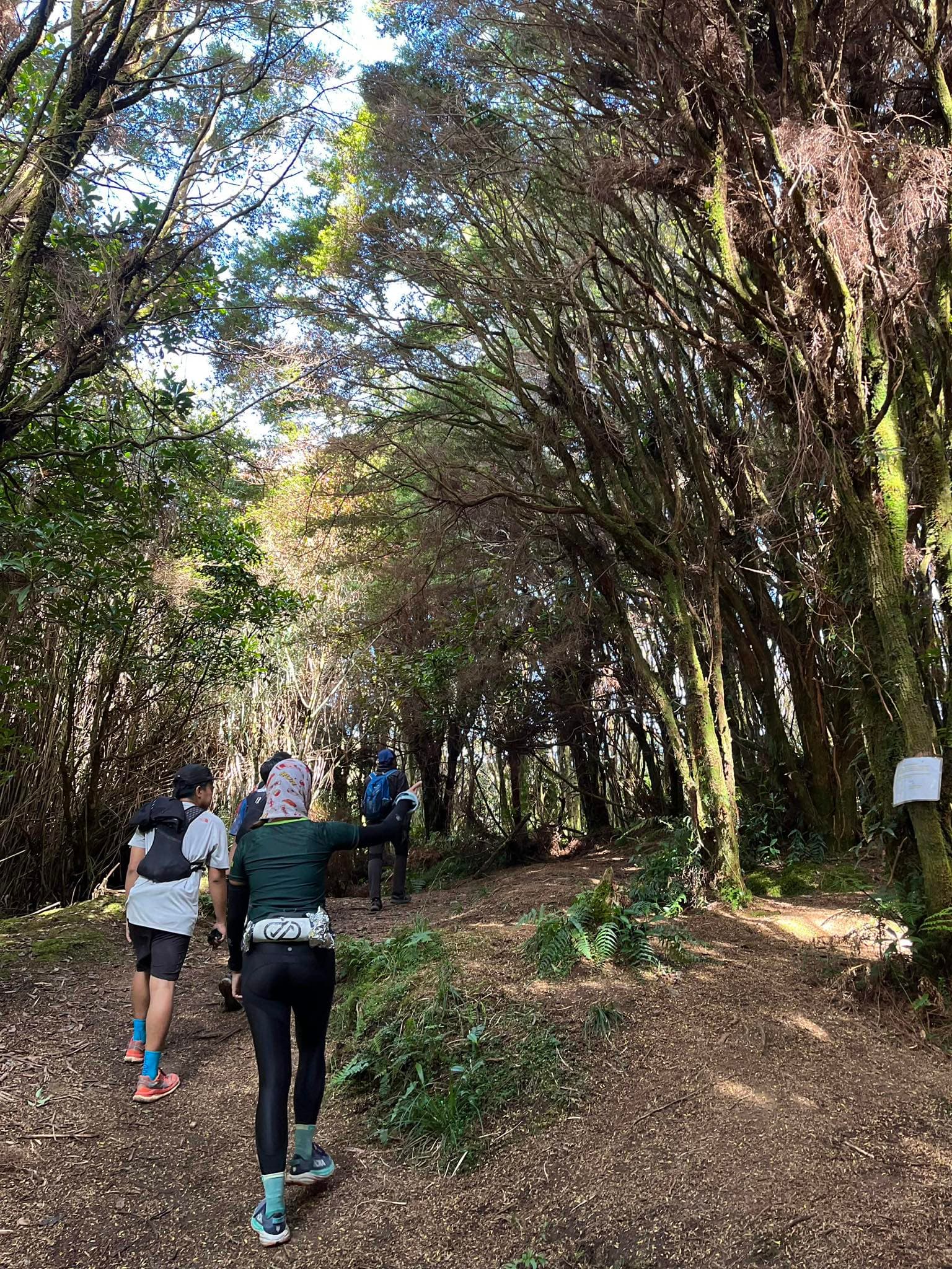 Adventure Background
